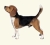 Icon-beagle10s.jpg