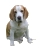 Icon-beagle07sw.jpg