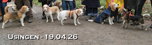 Banner - sp2604.JPG