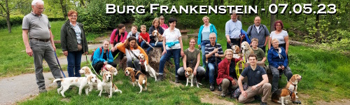 Banner-sp2305.jpg