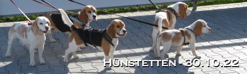 Banner-sp2210.JPG