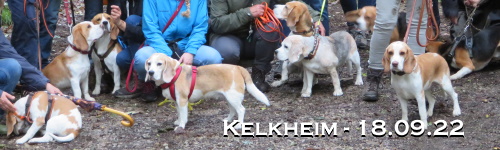 Banner-sp2209.jpg