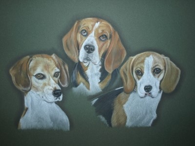 Leser-3beagles(2).jpg