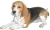 Icon-beagle09sw.jpg