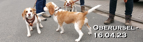 Banner-sp2304.jpg