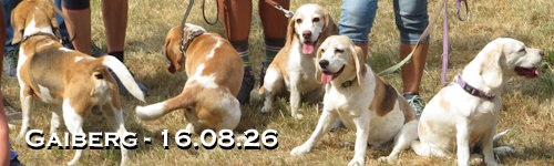 Banner - sp2608.jpg