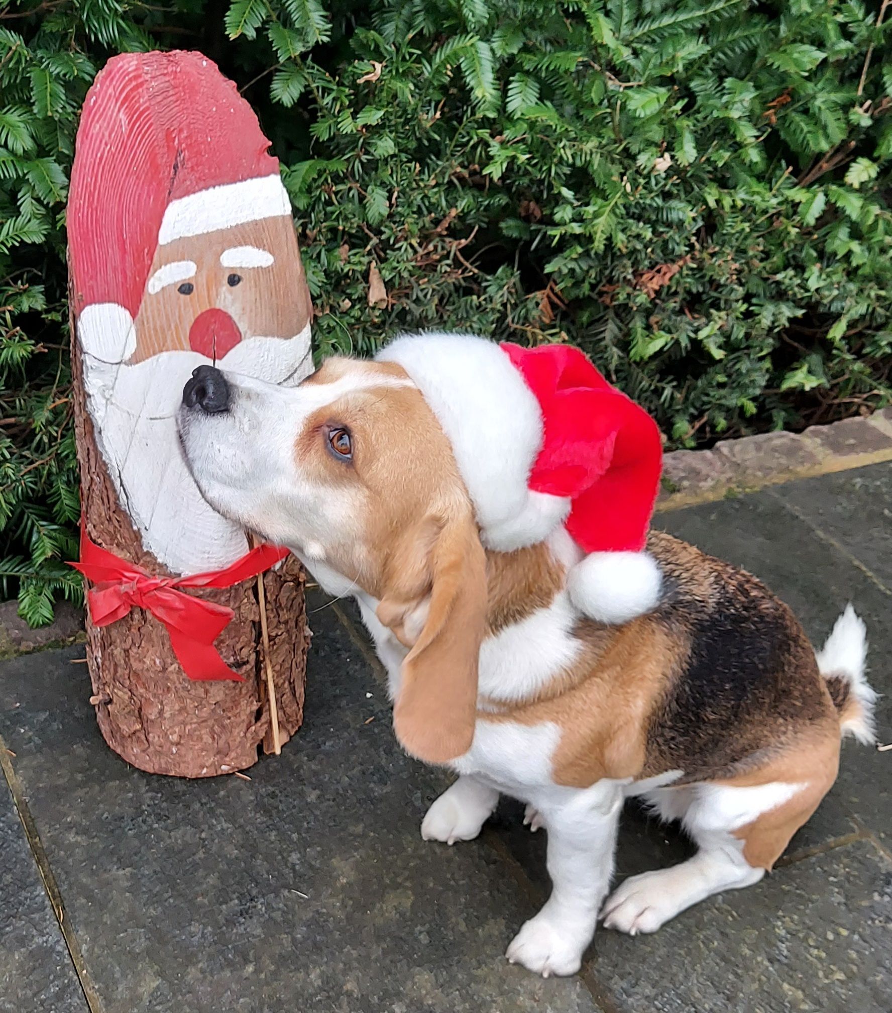 Verein-Weihnachtsbild.jpg