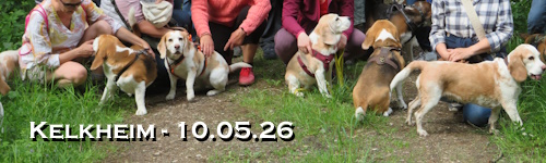 Banner - sp2605.JPG