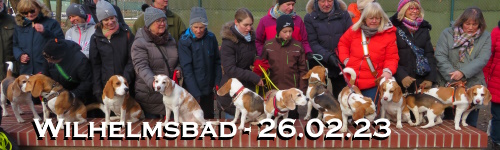 Banner-sp2302.JPG