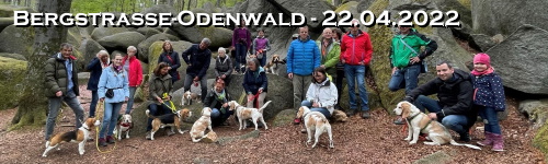Banner-sp2204.jpg