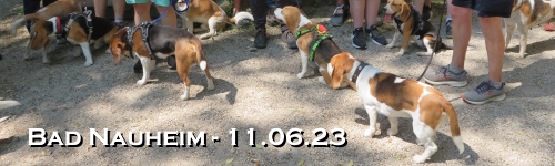 Banner-sp2306.jpg