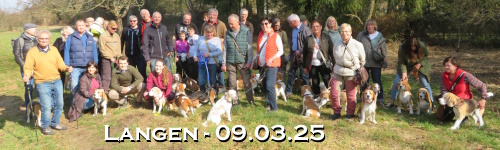 Banner-sp2503.jpg