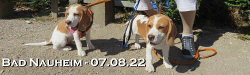 Banner-sp2208.jpg