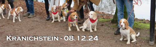 Banner-sp2412a.jpg