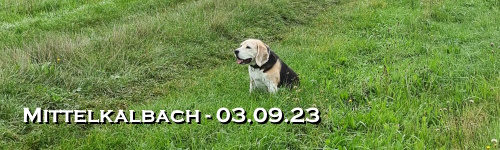 Banner-sp2309.jpg